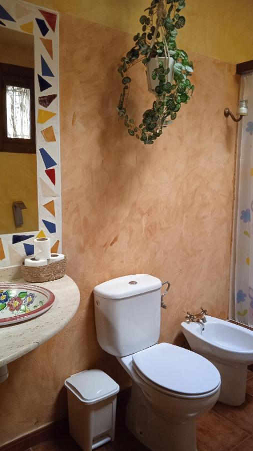 El Quinto Pino Riopar Villa Dış mekan fotoğraf